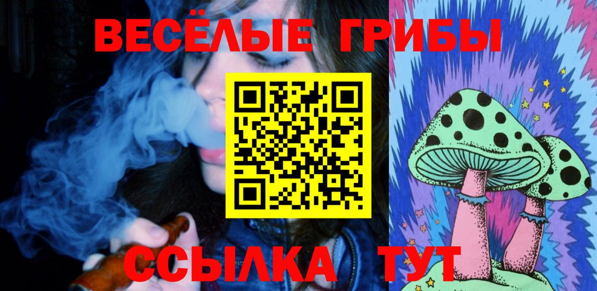 Псилоцибиновые грибы мицелий Гусев