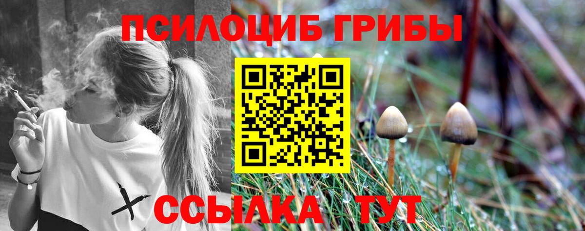 Гусев  Псилоцибиновые грибы Magic Shrooms  Вход с VPN  Галлюциногенные грибы мицелий 
